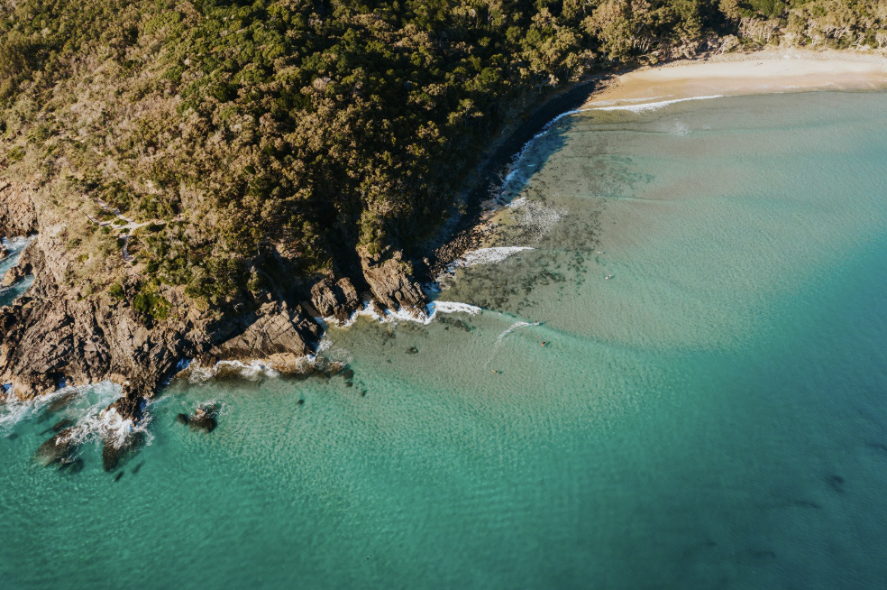Sunshine Coast: Cultural Safety Workshop - SOLD OUT